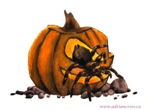 pumpkin and spider_adrian