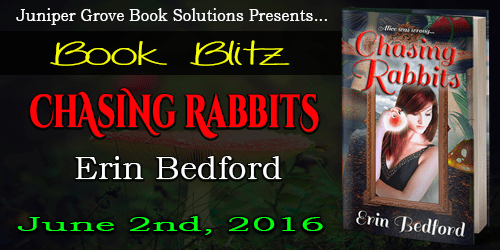 Chasing-Rabbits-Blitz-Banner-1